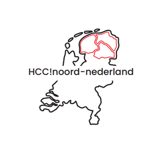 plaatje martinitoren groningen